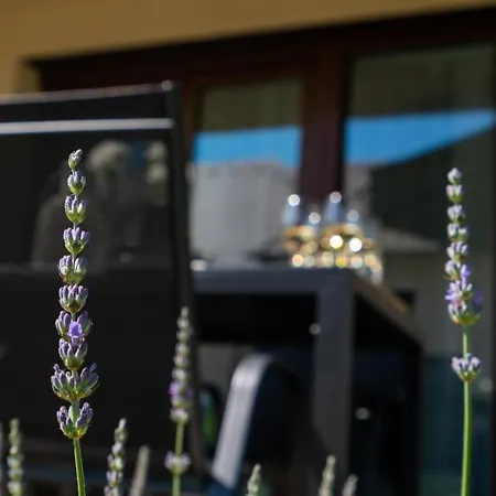 Captain’s Kenese * Balatonkenese